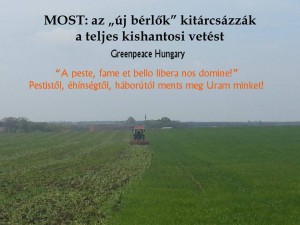 430 hektáron tárcsázzák ki a bevetett földeket traktorosok az „új bérlők” megbízásából Kishantoson. (Fotó: a Greenpeace Hungary fényképe alapján Kiss M.)